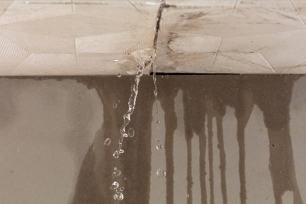 Professional Structural Drying technician working in Mount Vernon, TX